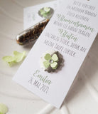 Gastgeschenk Eukalyptus